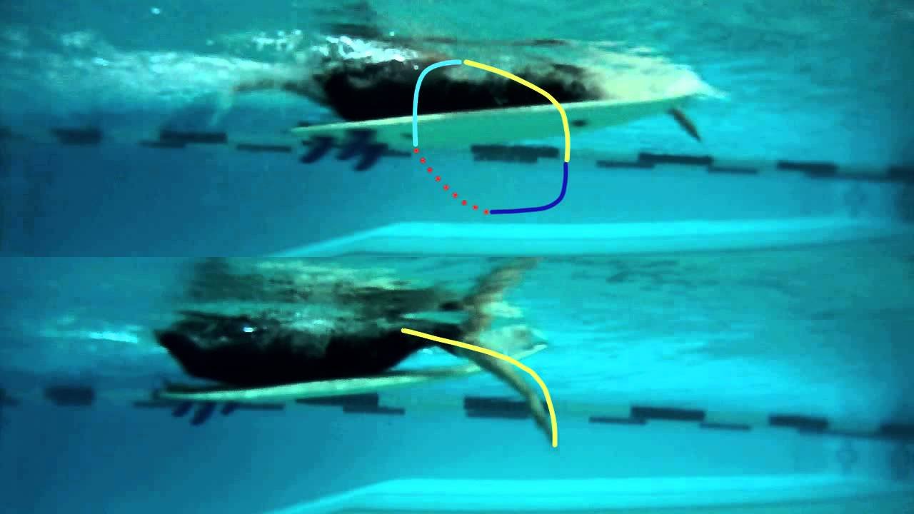 Surfing Paddling Technique two different types of strokes to use when paddling a surfboard tutorial by Rob Case